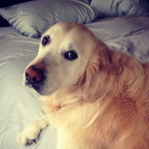 Heidi