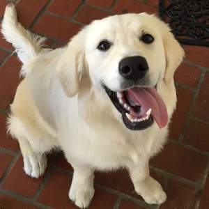 Gracie Mae