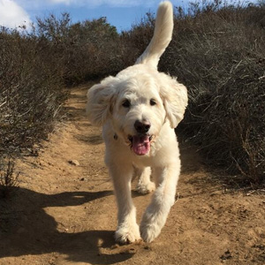 Charlie